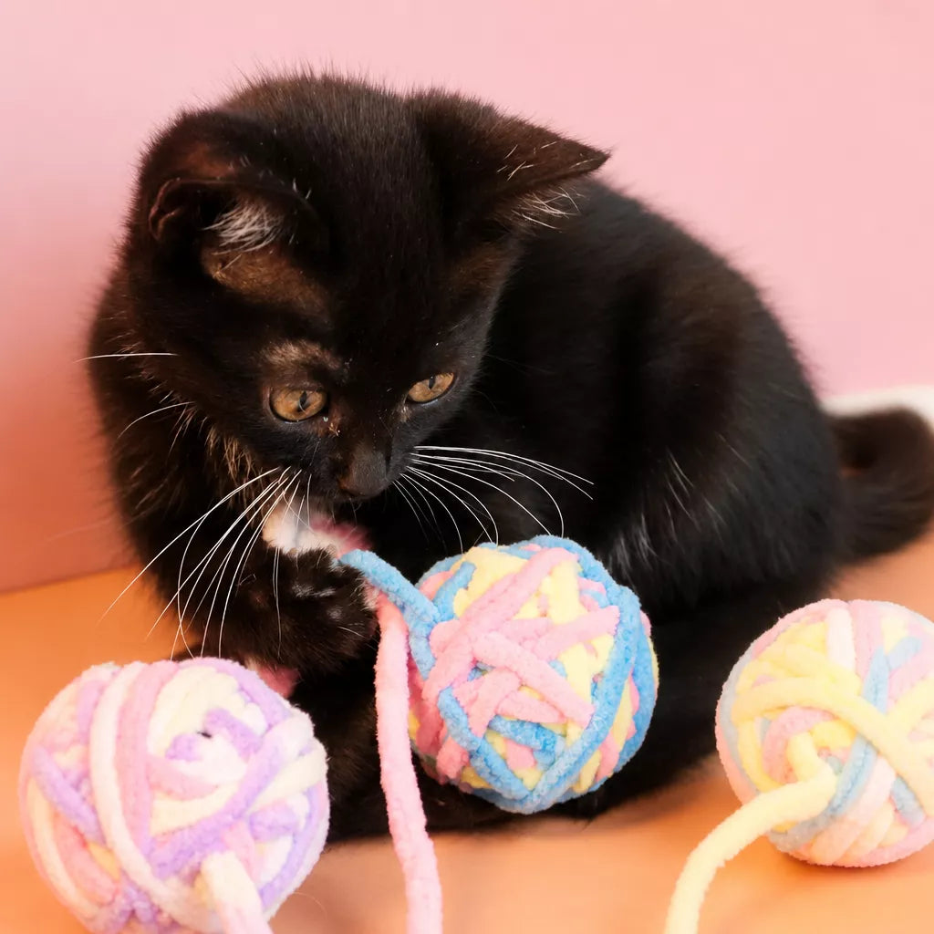Hanging Yarn Ball Cat Toys