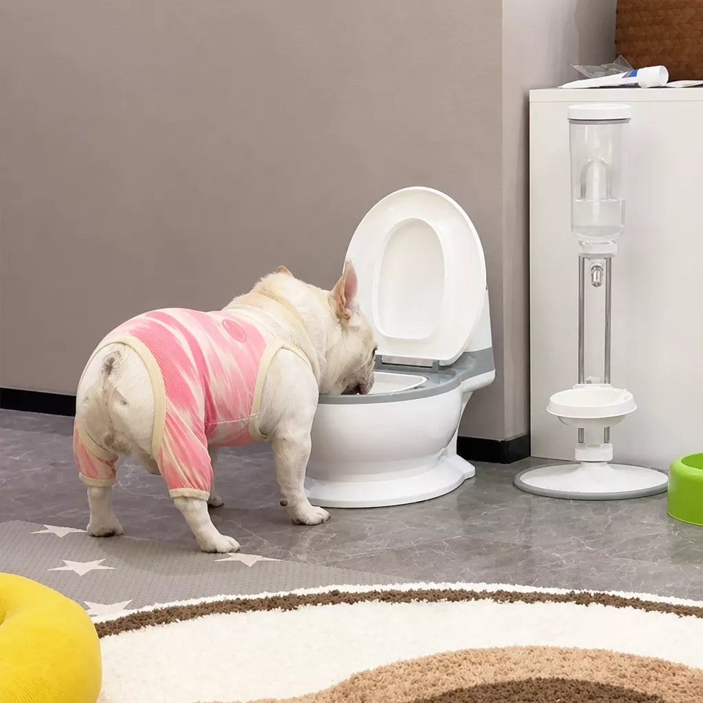 Toilet-Shaped Pet Water Bowl with Wide Opening