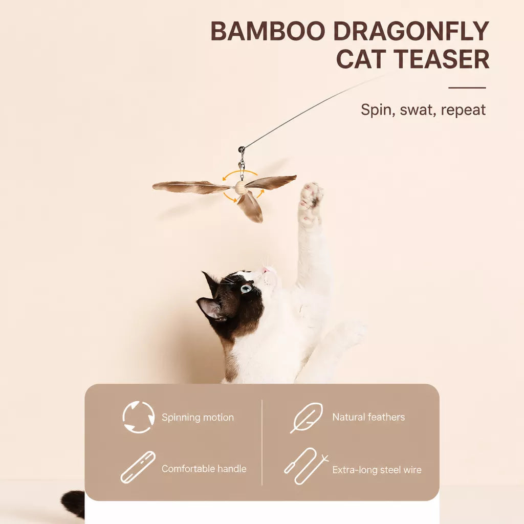 Cat Teaser Wand with Feather Attachments