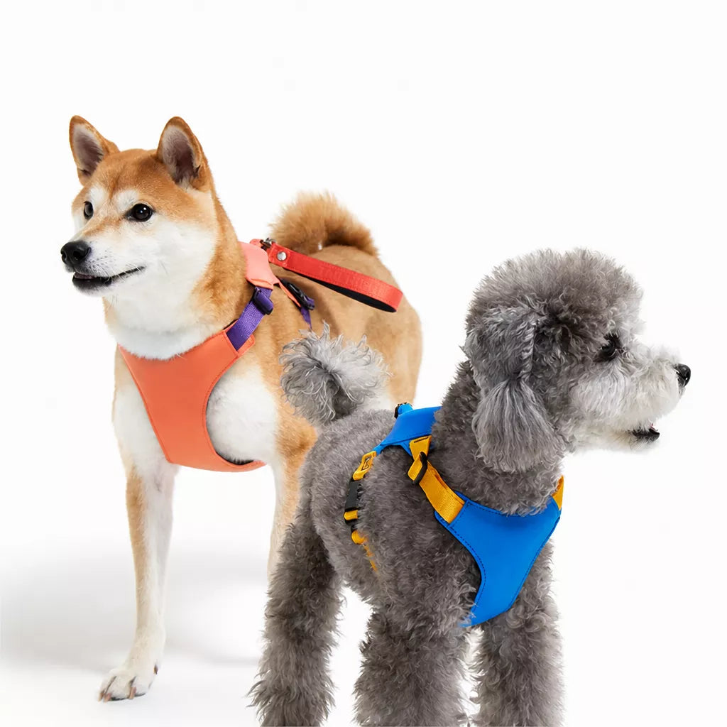 Nylon Dog Harness and Leash Set