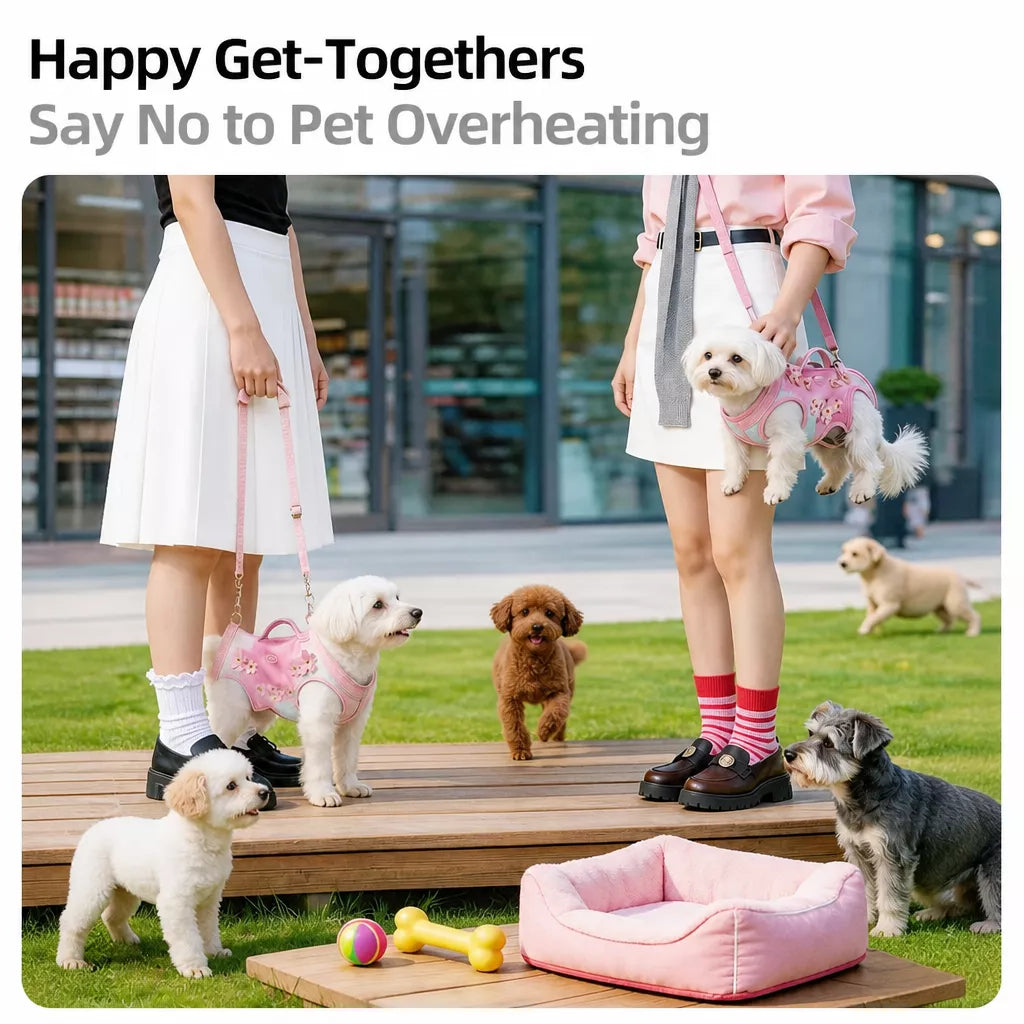 Small Pet Shoulder Carrier Bag for Cats and Small Dogs