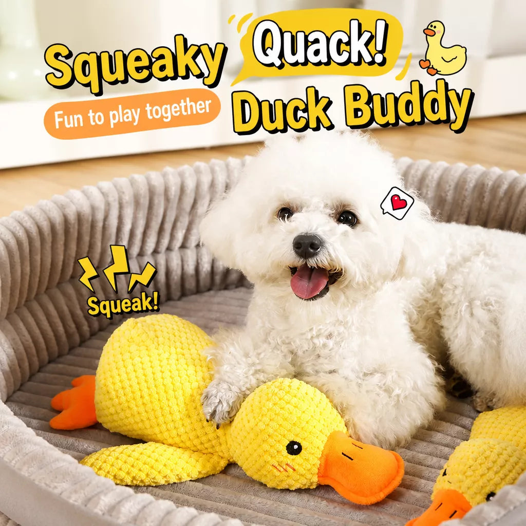 Plush Squeaky Dog Toy