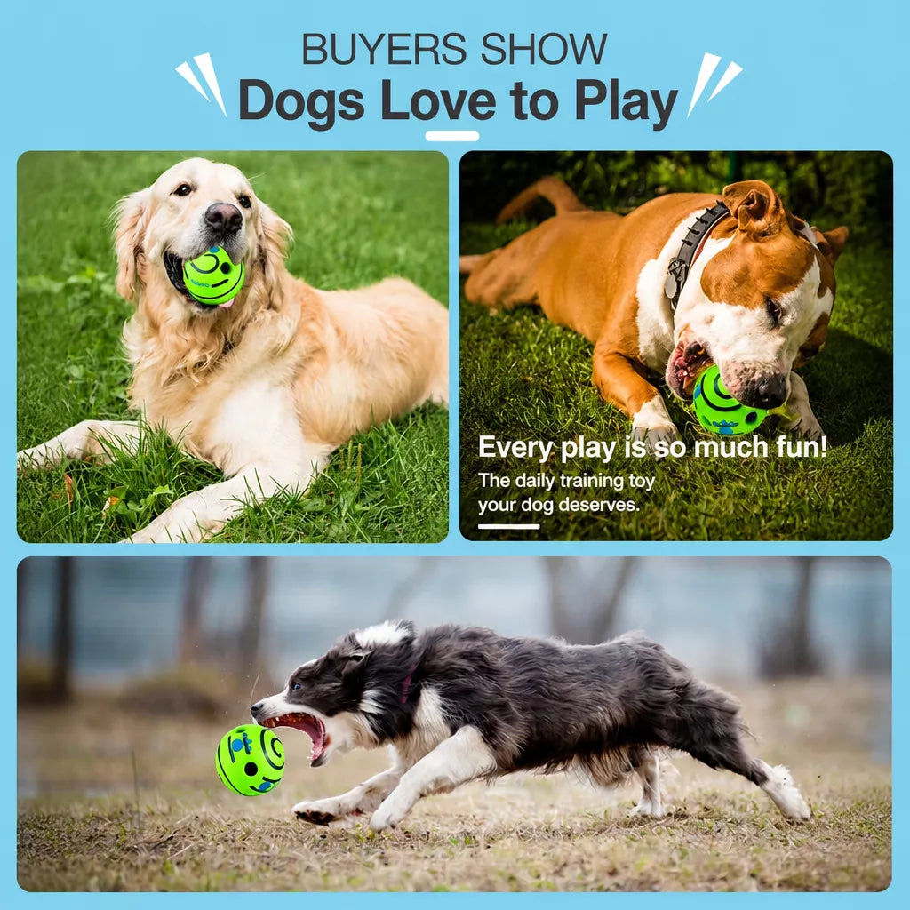 Squeaky Vinyl Ball Toy for Dogs