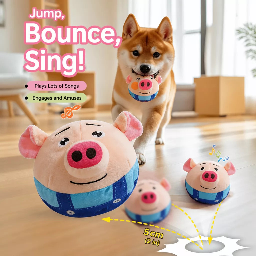 Interactive Electric Dog Toy Ball