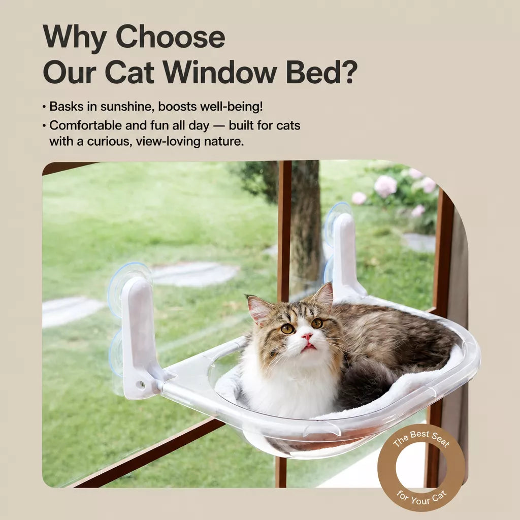 Foldable Transparent Cat Window Capsule Hammock