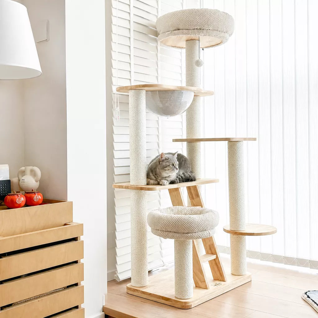 Wooden Cat Tree with Enclosed Hideaway and Removable Washable Parts