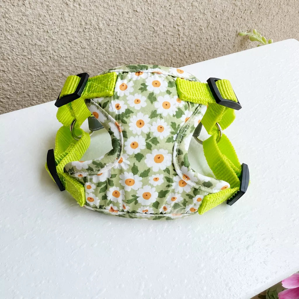 Reflective Nylon Vest Harness and Leash for Small Dogs & Cats