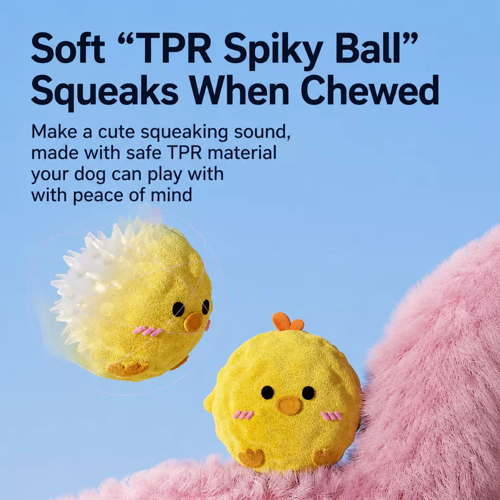 Cartoon Spiky Squeaky Ball Dog Toy