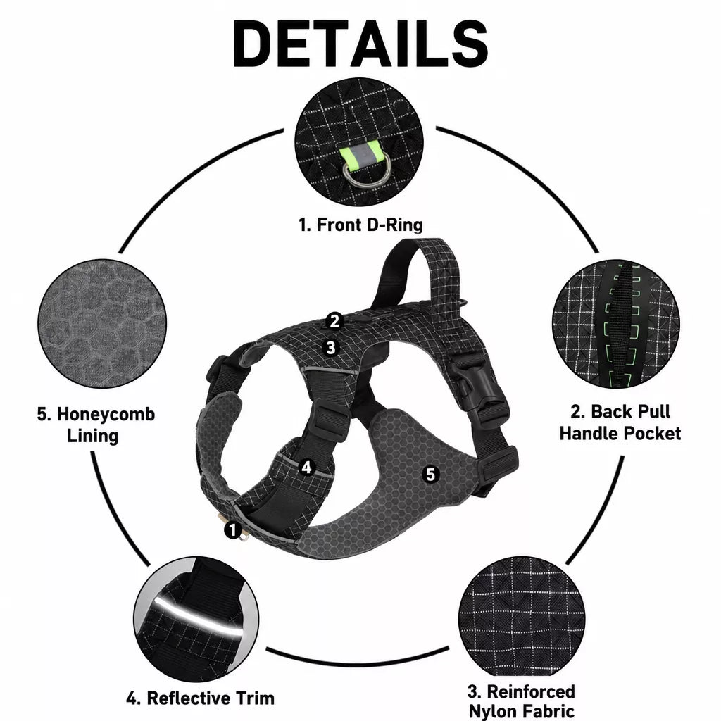 Adjustable Nylon Vest-Style Dog Harness and Leash Set