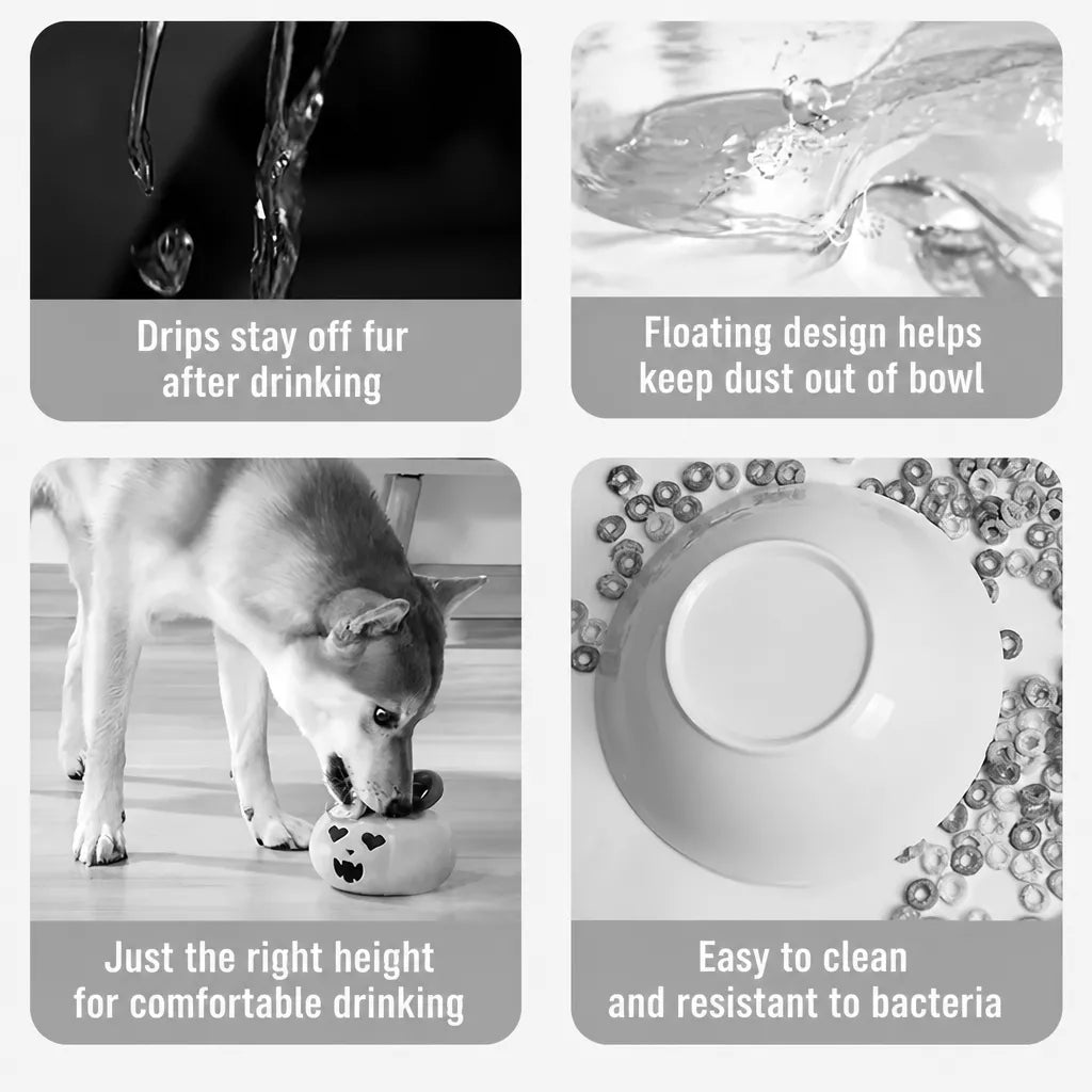 Splash-Resistant Floating Water Bowl for Dogs and Cats