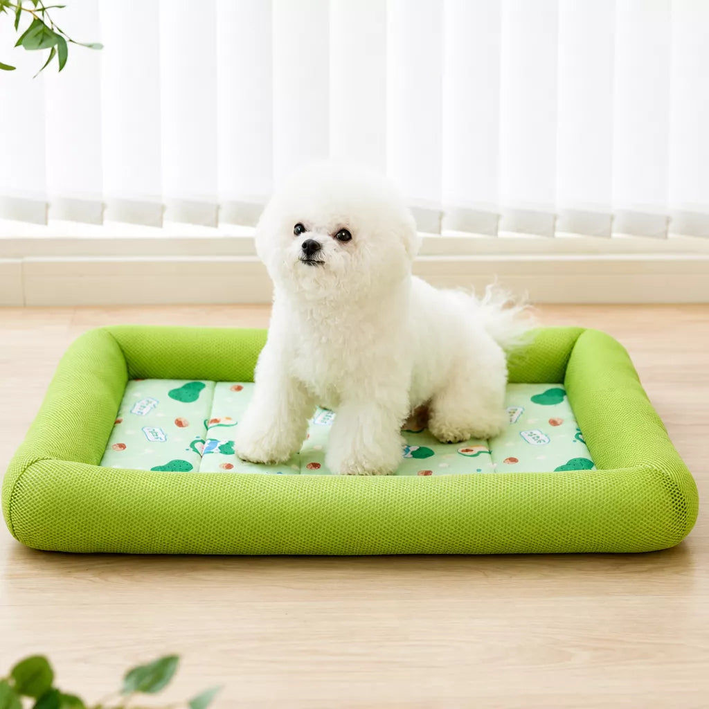 Removable Washable Fabric Dog Bed for Year-Round Use