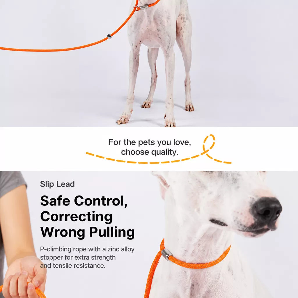 Integrated Slip Lead Dog Leash with Close-Control Handle
