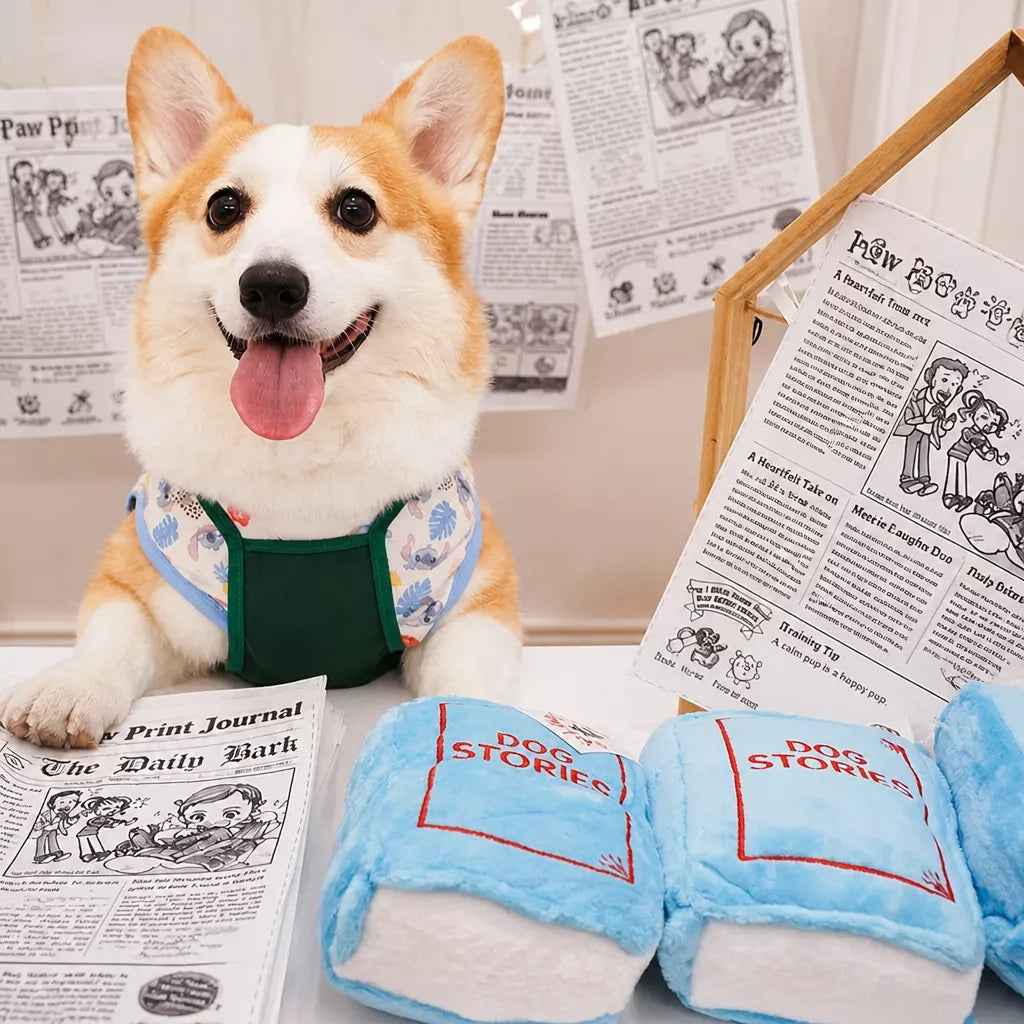 Squeaky Crinkle Dog Toy – Newspaper-Inspired Interactive Toy