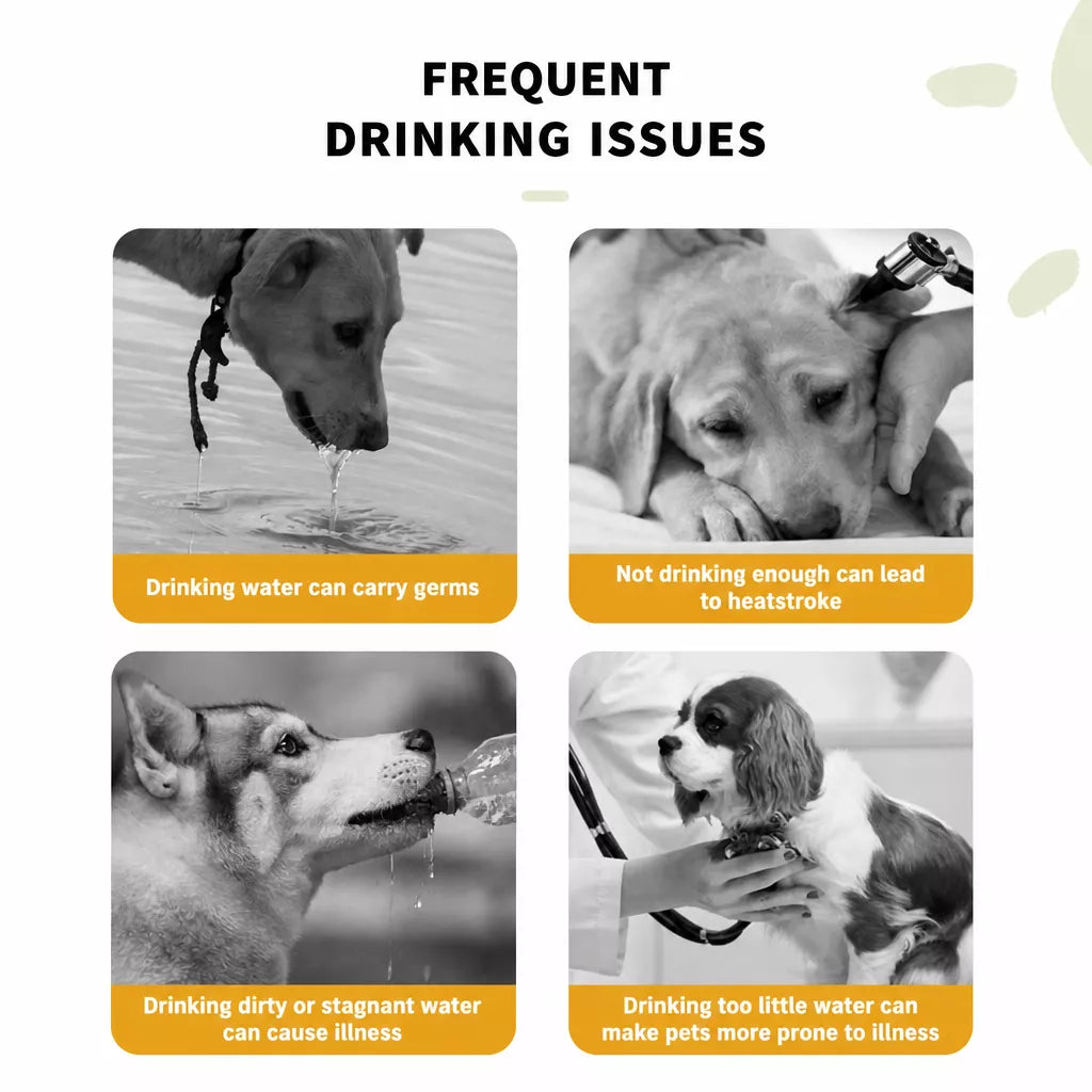 Portable Dog Water Bottle with Built-In Drinking Cup