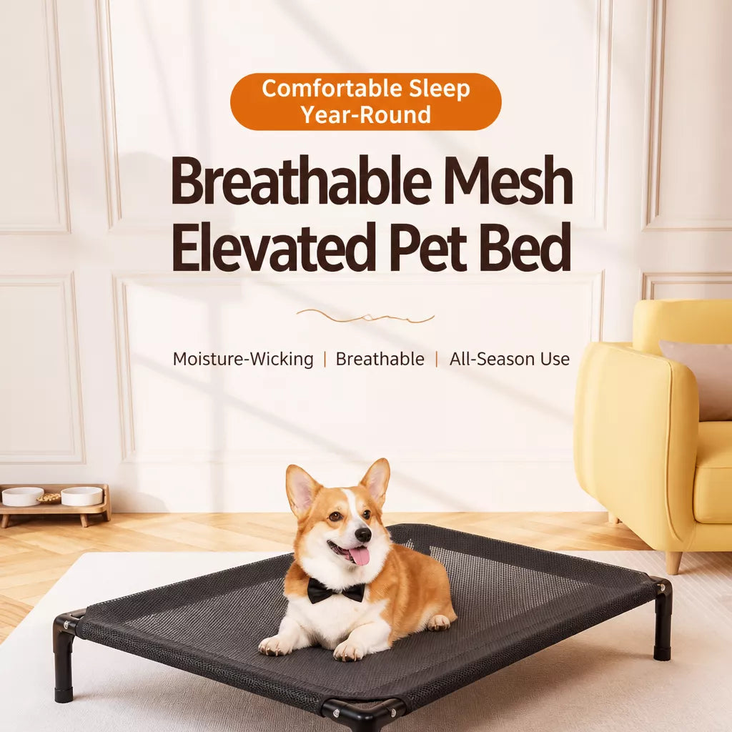 Elevated Mesh Dog Cot Bed