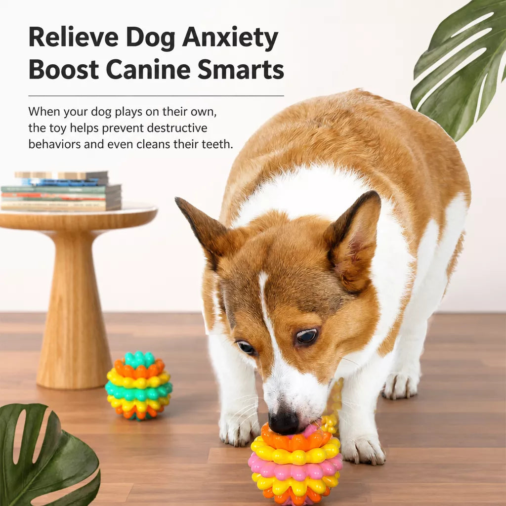 Dog Chew Ball Toy