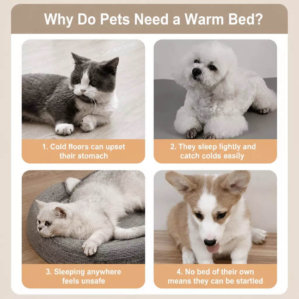 Semi-Enclosed Waterproof Pet Bed for Small to Medium Dogs and Cats