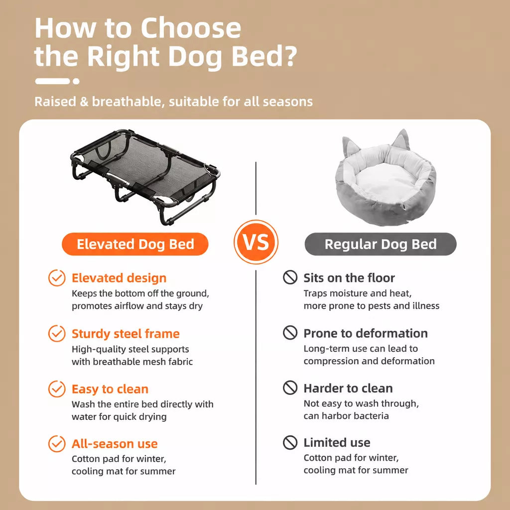 Elevated Foldable Mesh Dog Bed