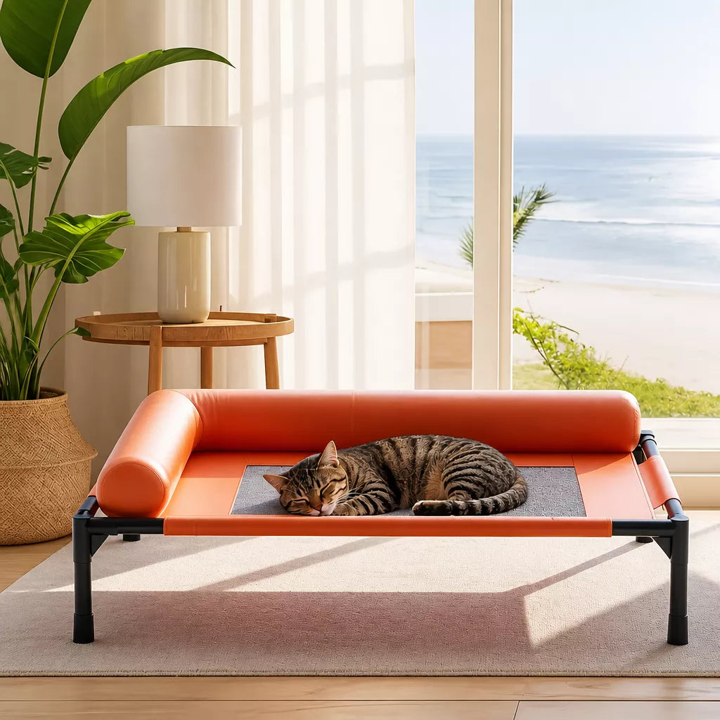 Raised Cot-Style Pet Bed for Small to Medium Dogs and Cats