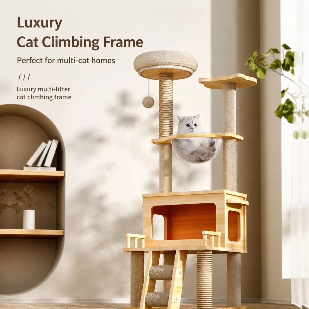 Mini Cat Tree with Enclosed Cat House and Scratching Post