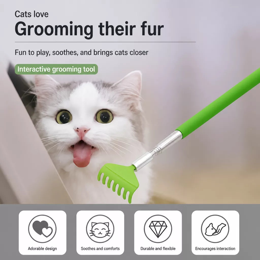 Extendable Pet Scratcher Wand