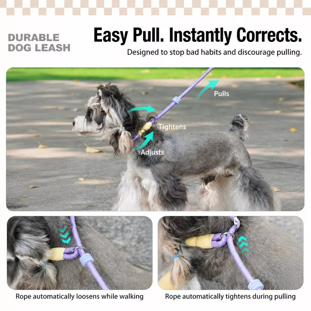 Nylon Slip Lead Dog Leash with Comfort Grip for Training