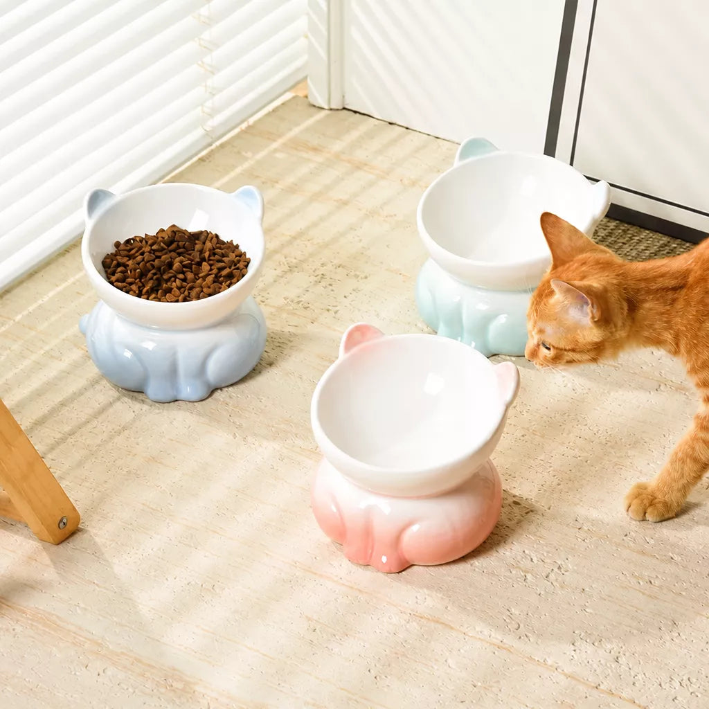 Elevated Ceramic Cat Food Bowl
