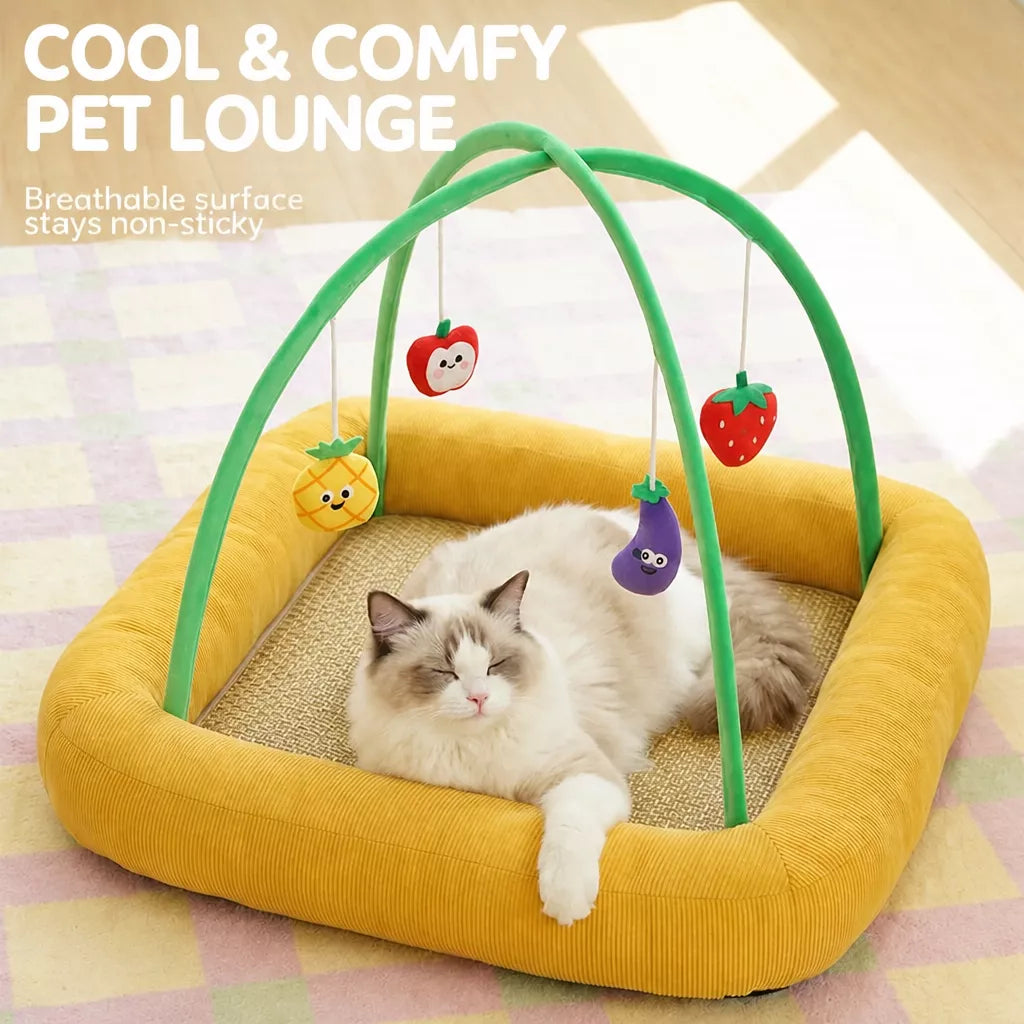 Tent-Style Cat Bed with Floor Mat