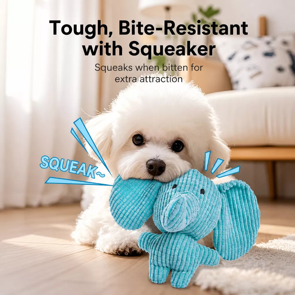 Plush Squeaky Dog Toy for Chewing and Interactive Play