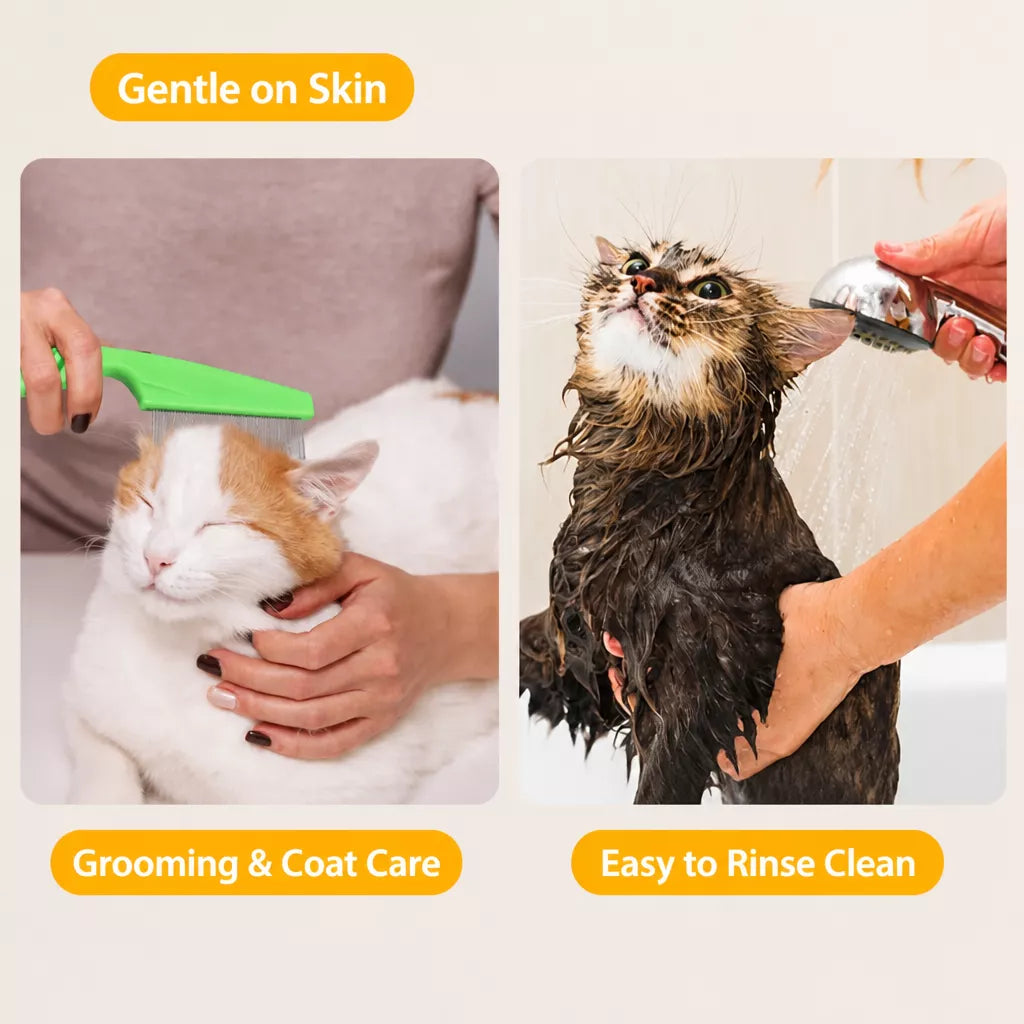 Clear Plastic Cat Elizabethan Collar