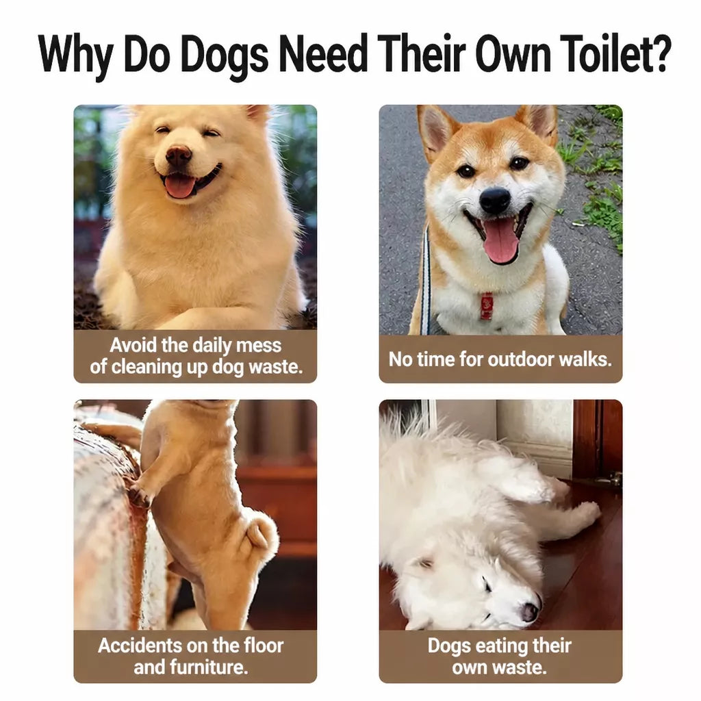 Dog Toilet Training Tray with Steel Frame