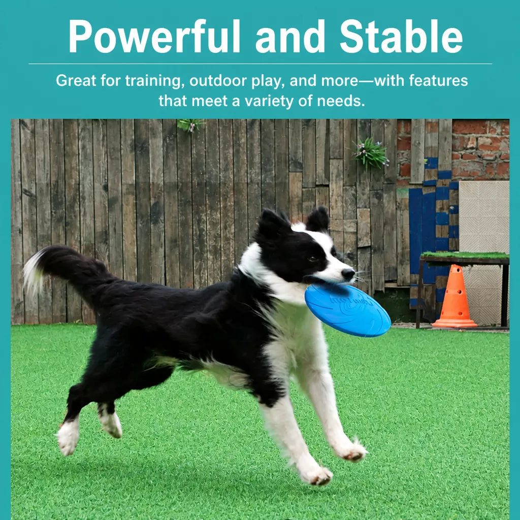 Floating Dog Flying Disc Toy for Training and Interactive Play