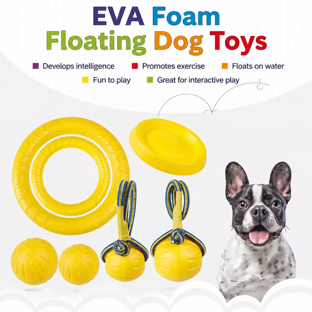 Interactive Dog Toy with Flying Disc, Tug Ring & Floating Ball