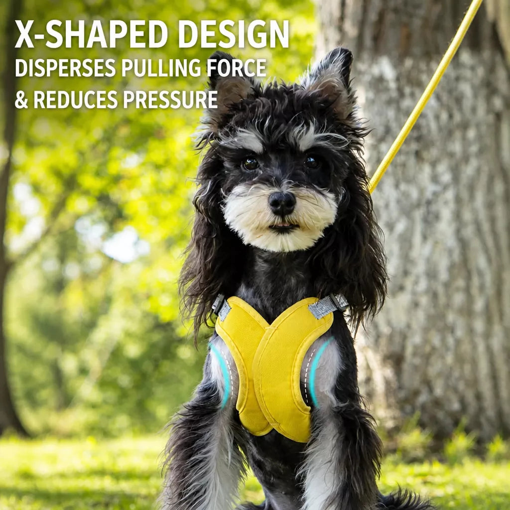 X-Style Pet Harness and Leash