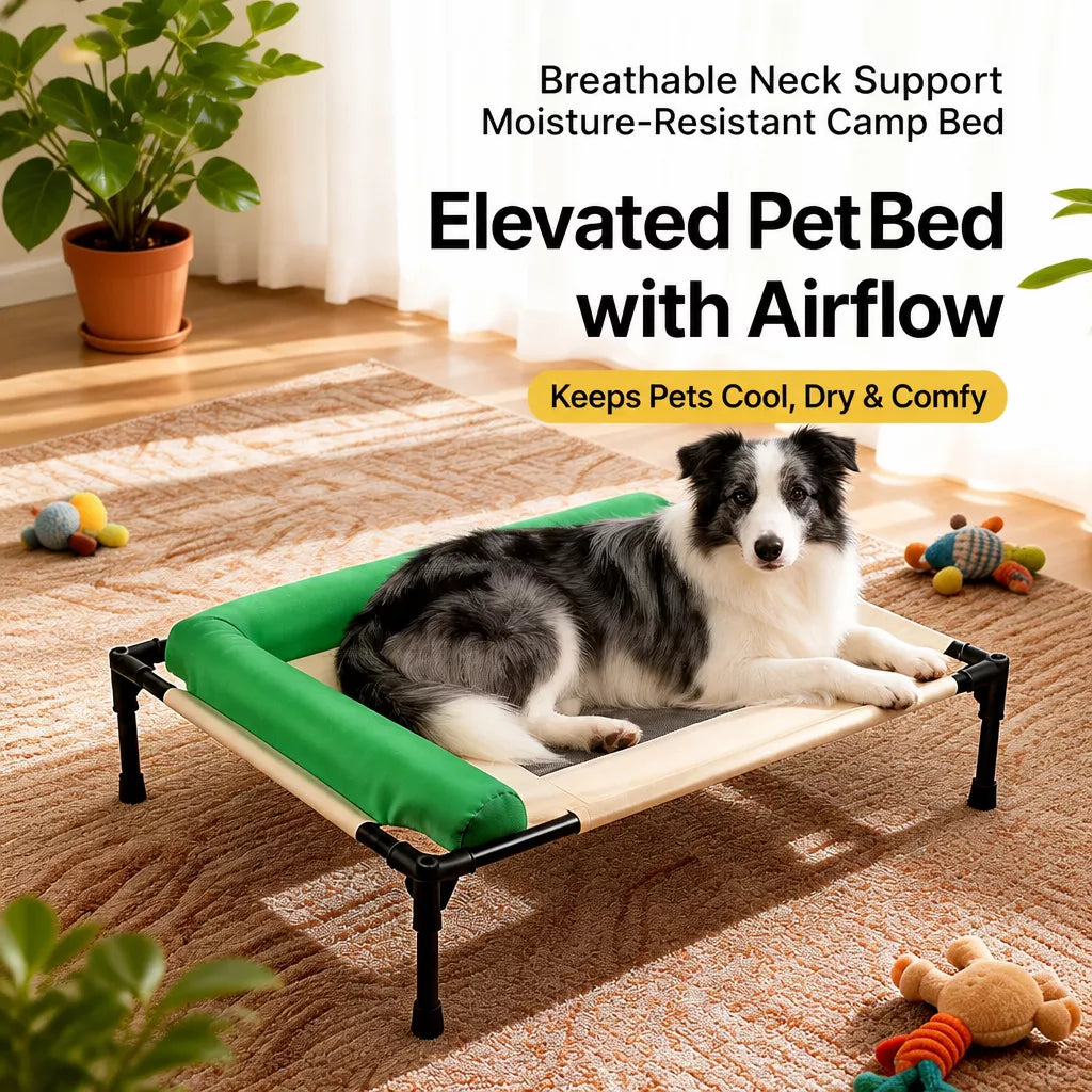 Elevated Pet Cot Bed with Removable Washable Cover