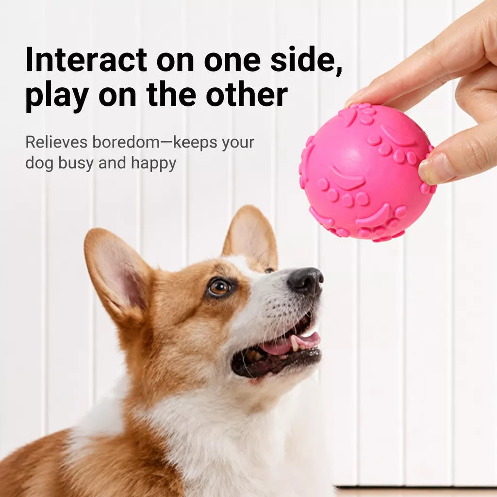 TPR Paw Print Squeaky Ball Dog Toy for Interactive Play