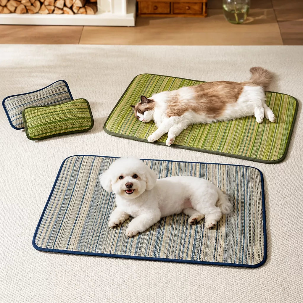 Silicone Pet Bed Mat