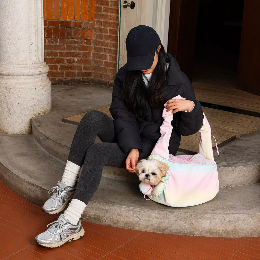 Pet Carrier Bag for Cats and Dogs