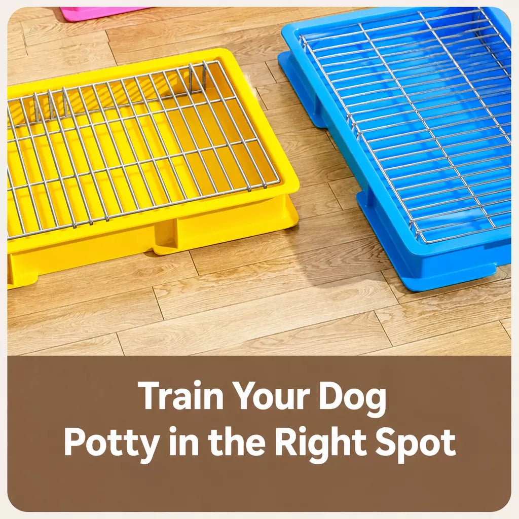 Dog Potty Training Tray with Grate for Small to Large Dogs