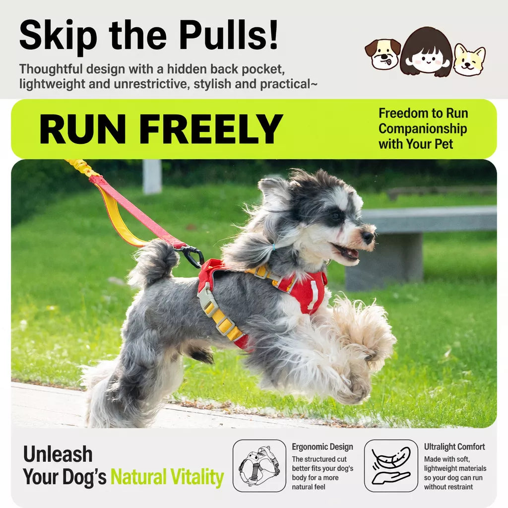 Adjustable Vest-Style Dog Harness with Leash for Walks