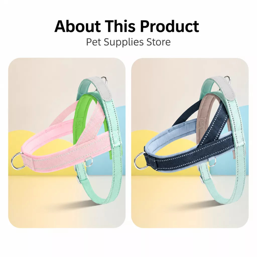 Nylon Round Dog Leash for Small to Medium Dogs
