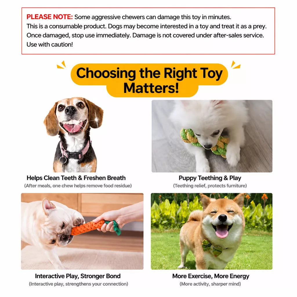 Squeaky Rope Chew Toys for Small and Medium Dogs