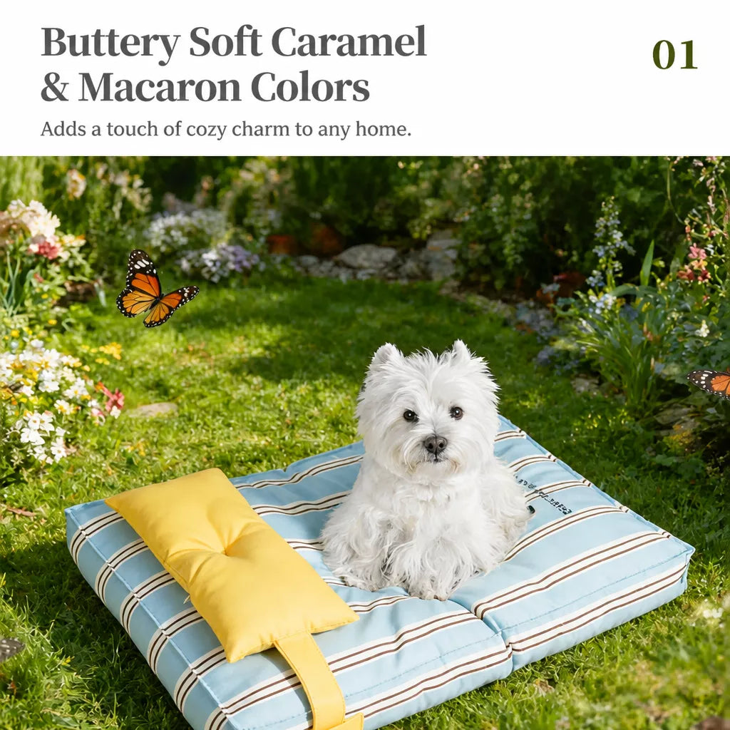 Removable Washable Pet Bed for Cats and Small to Medium Dogs