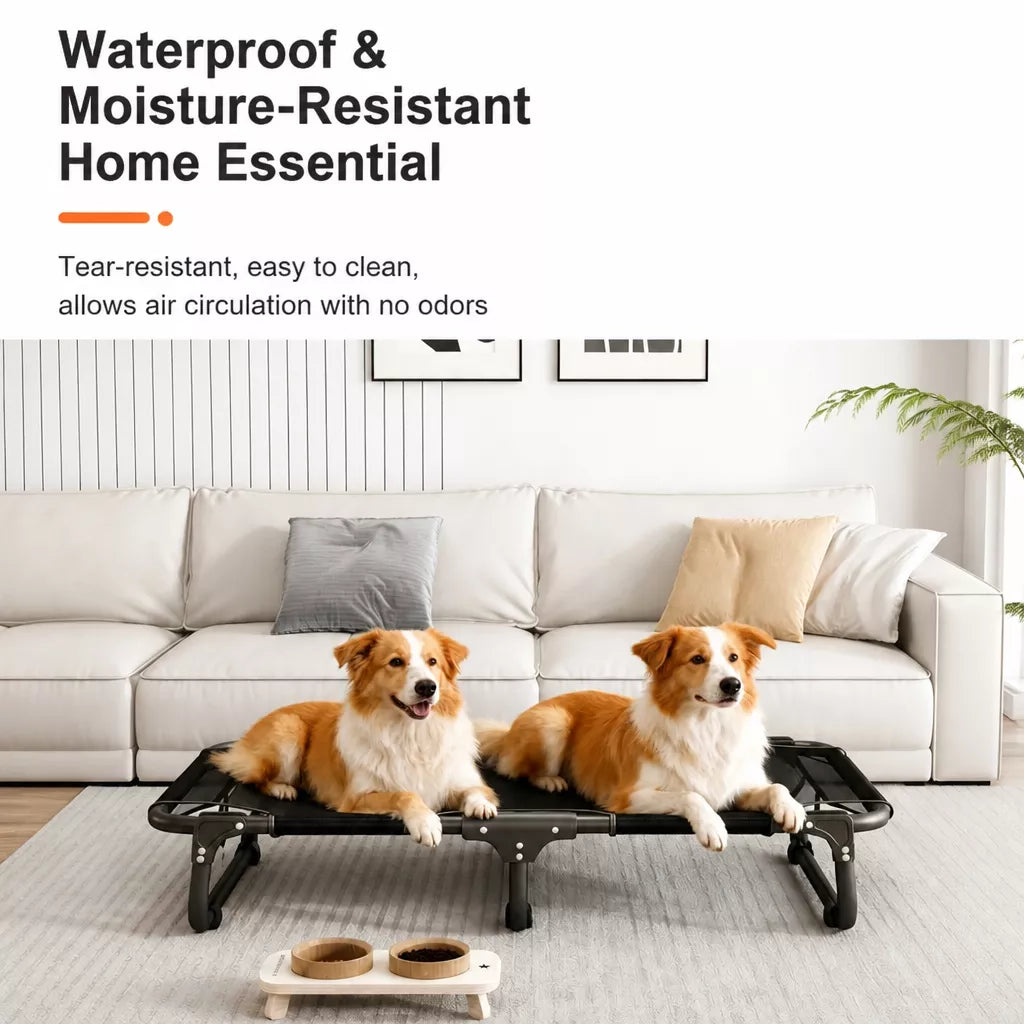 Elevated Foldable Mesh Dog Bed