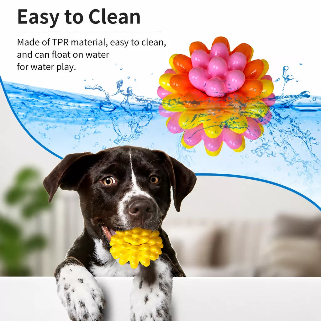Dog Chew Ball Toy