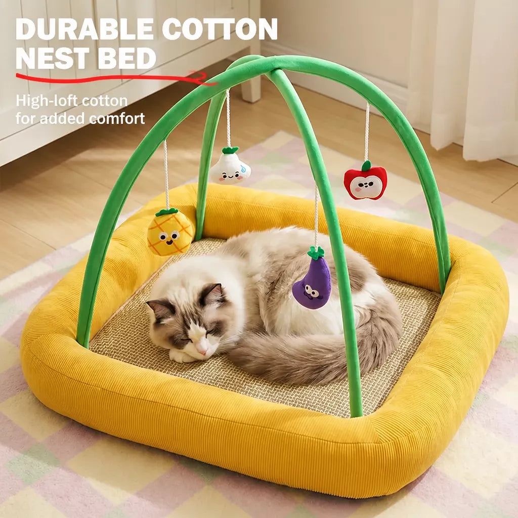 Tent-Style Cat Bed with Floor Mat