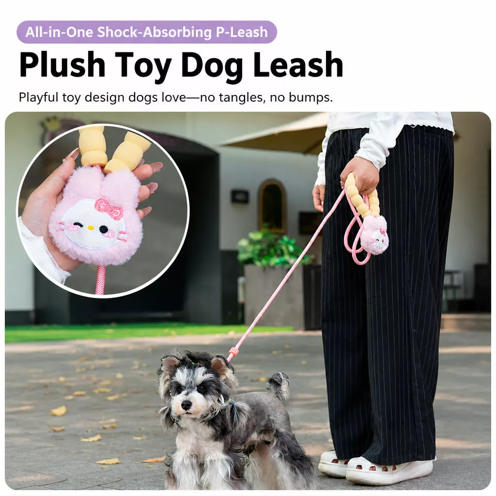 Nylon Slip Lead Dog Leash with Comfort Grip for Training