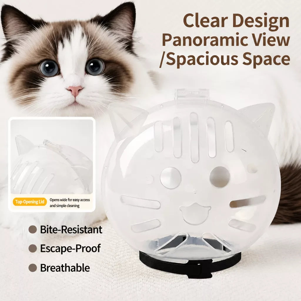 Clear Plastic Cat Elizabethan Collar