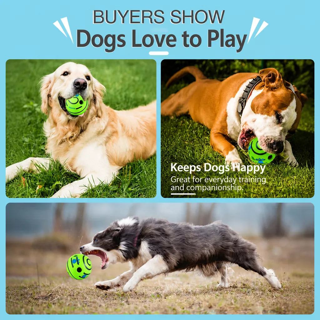 Squeaky Vinyl Ball Toy for Dogs