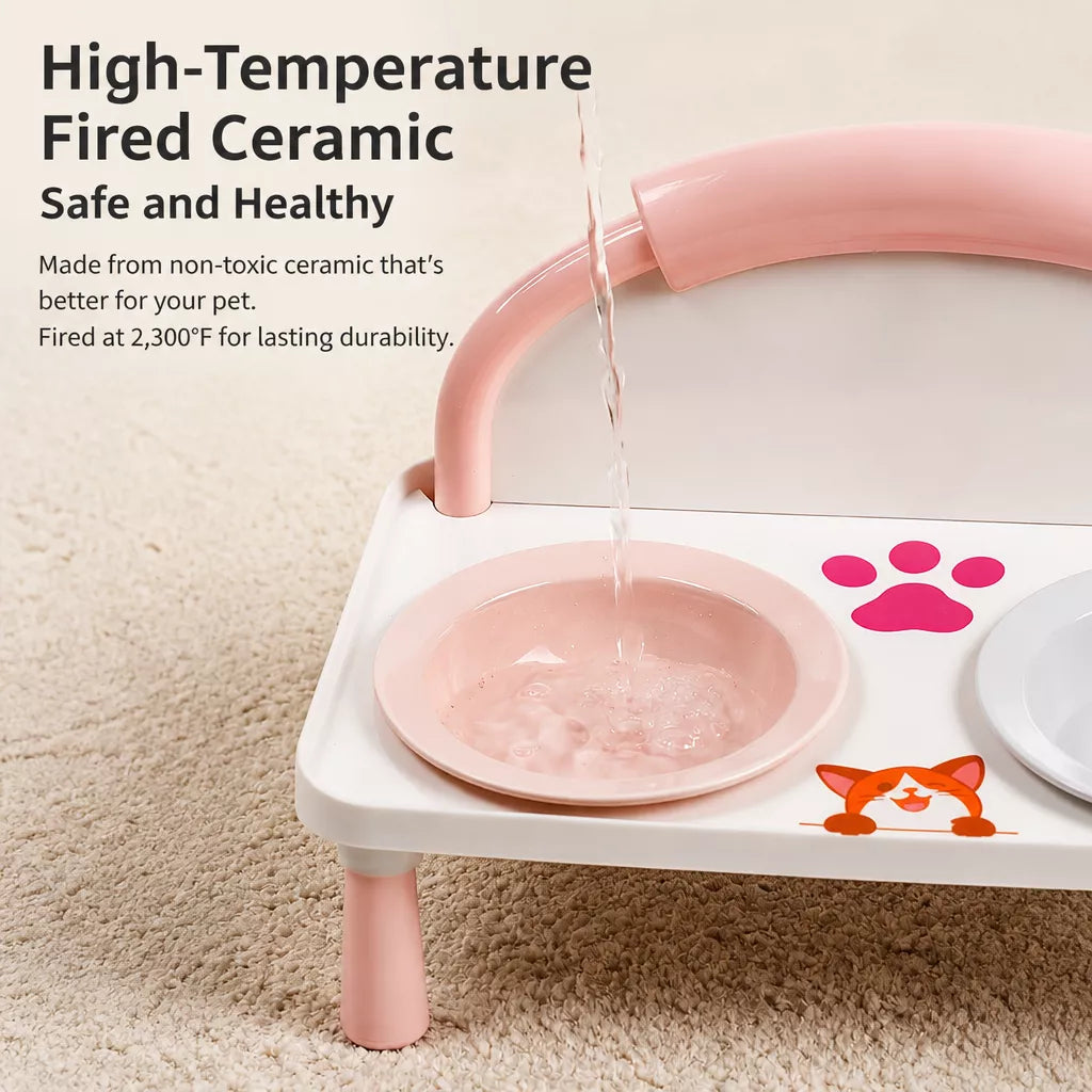 Elevated Ceramic Double Bowl Set for Cats & Dogs